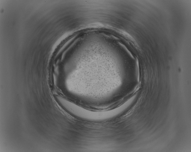 X0000072961326200608181421