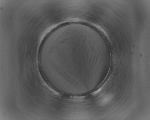 X0000072961327200608181421