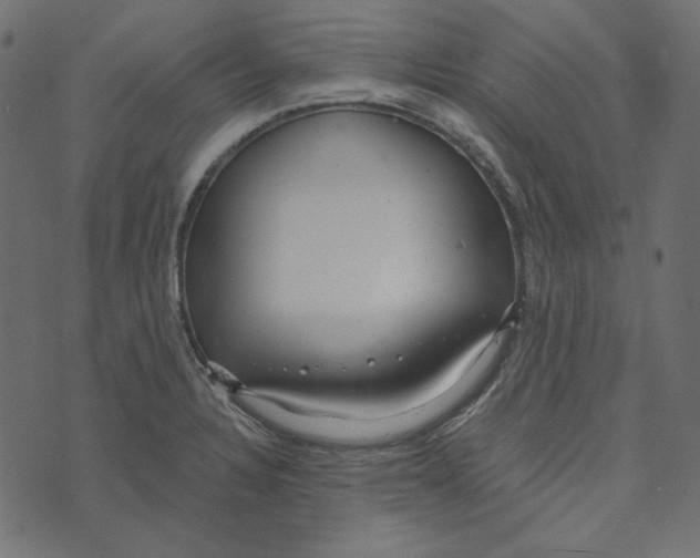 X0000072961328200608181421