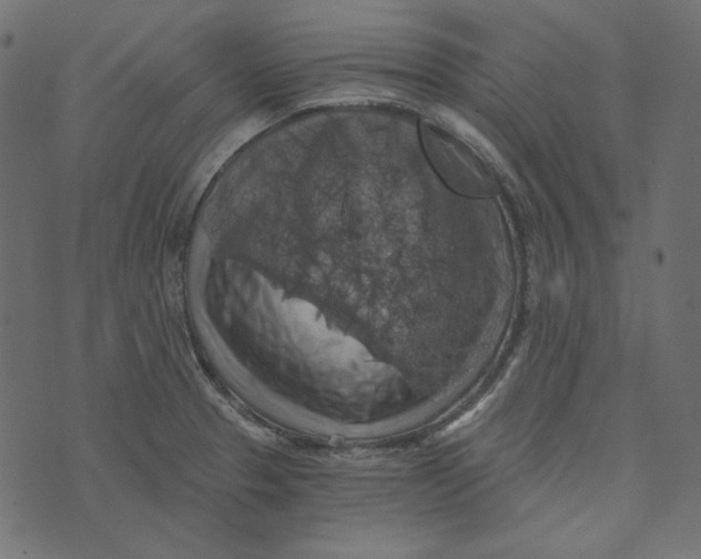 X0000072961329200608181421