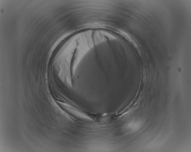 X0000072961331200608181422