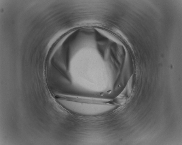 X0000072961336200608181422