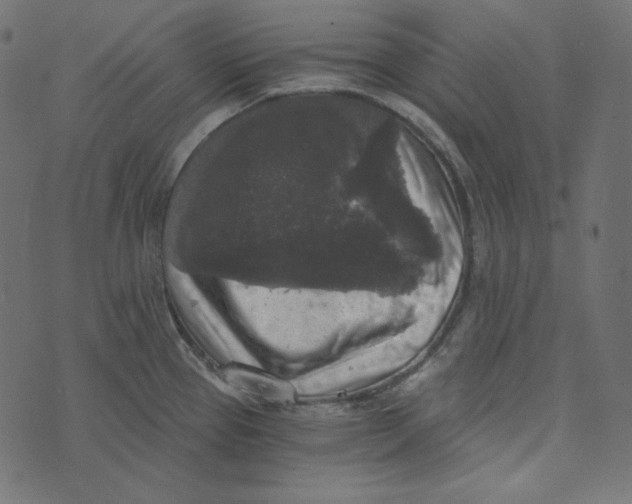 X0000072961337200608181422