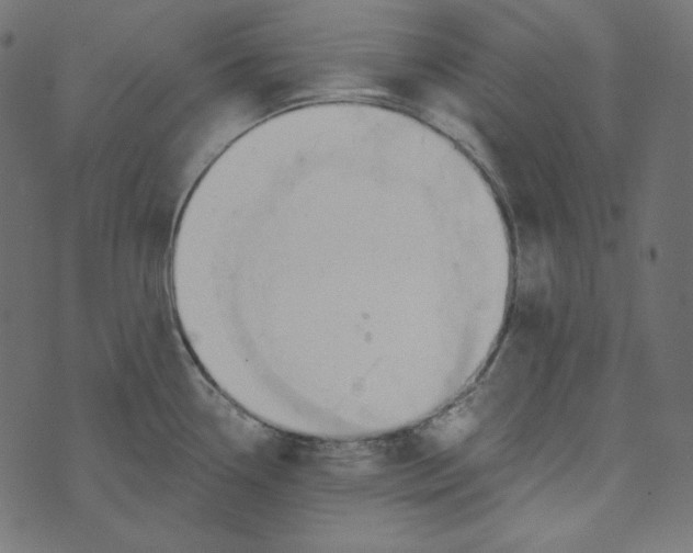 X0000072961338200608181422