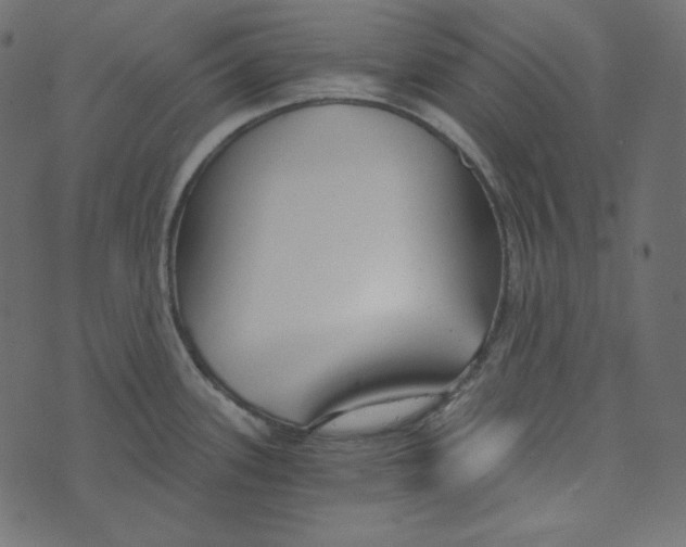 X0000072961339200608181422