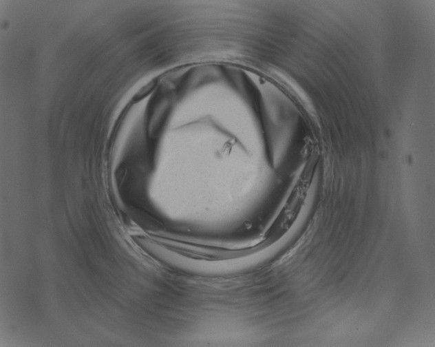 X0000072961340200608181422