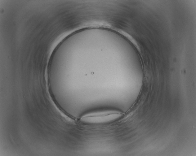 X0000072961343200608181422