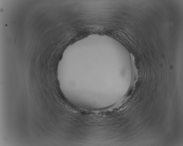 X0000072961345200608181421