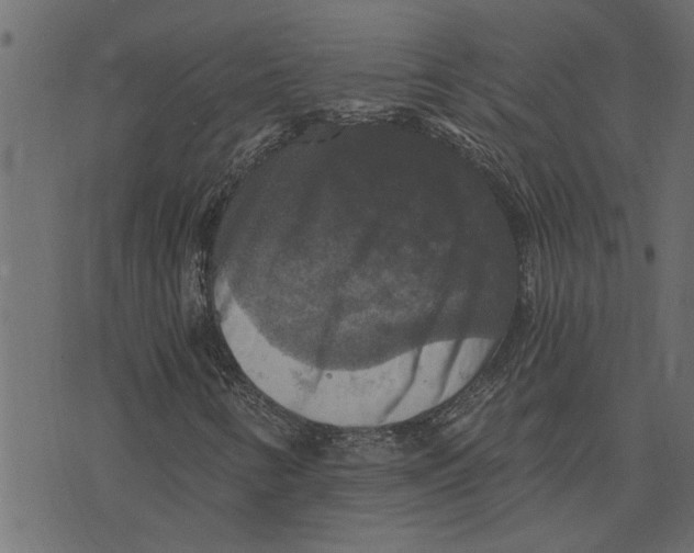 X0000072961346200608181421