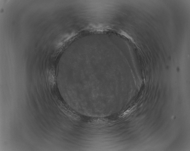 X0000072961348200608181421