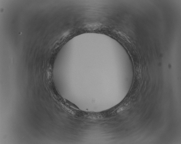 X0000072961349200608181421