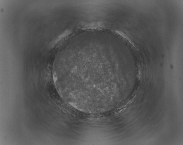 X0000072961350200608181421