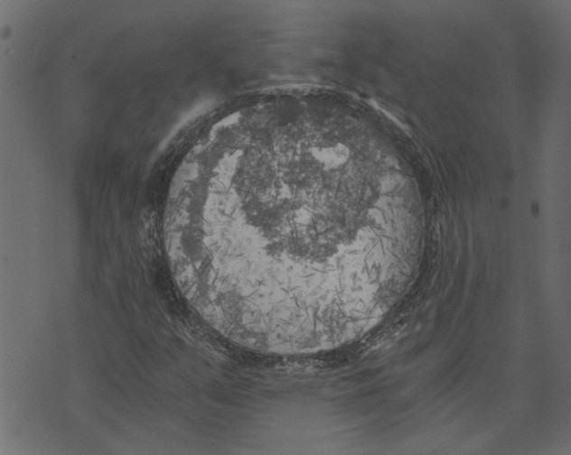 X0000072961351200608181421