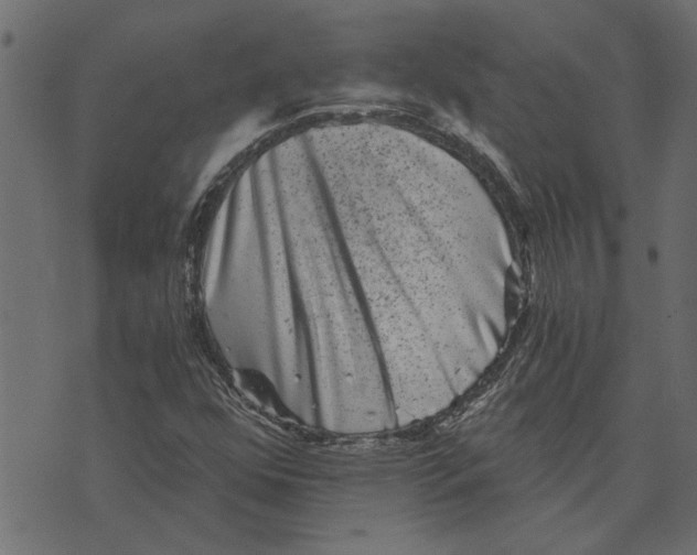 X0000072961352200608181421