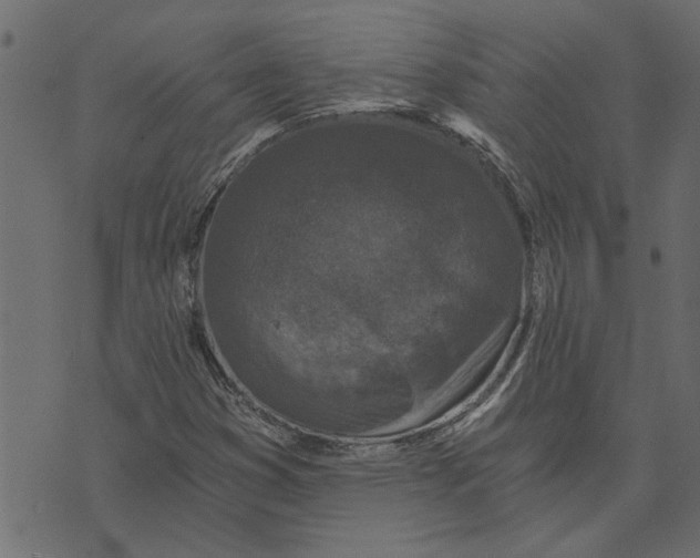 X0000072961353200608181421