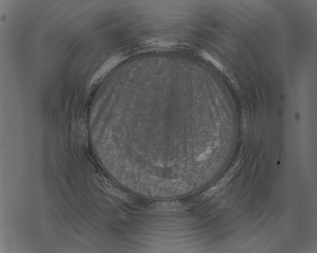 X0000072961354200608181421