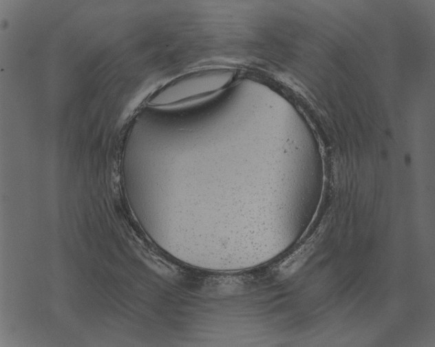 X0000072961355200608181421