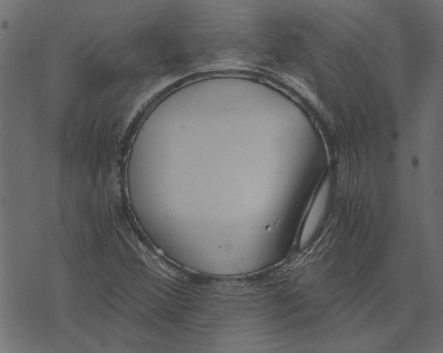 X0000072961356200608181421