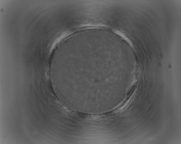 X0000072961357200608181421