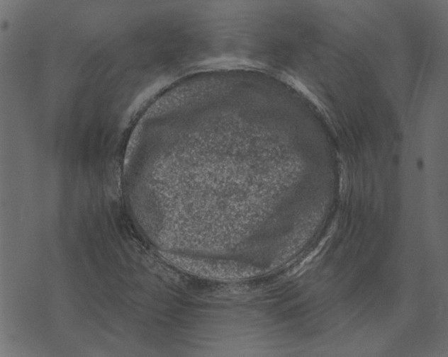 X0000072961358200608181421