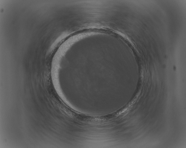 X0000072961359200608181421