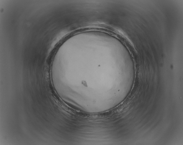 X0000072961360200608181421