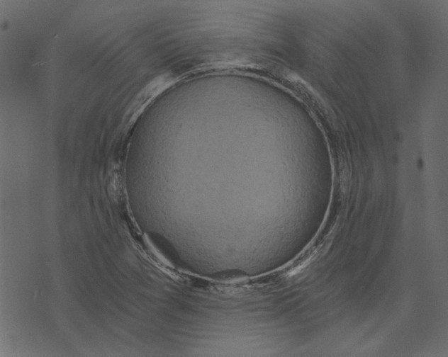 X0000072961361200608181421