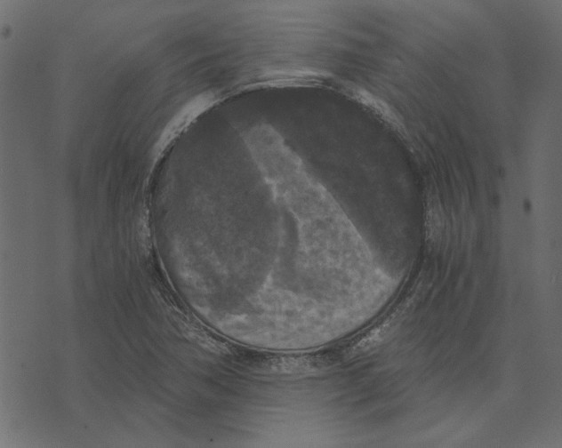 X0000072961362200608181421