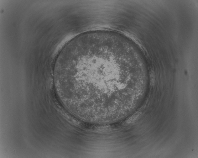 X0000072961363200608181421