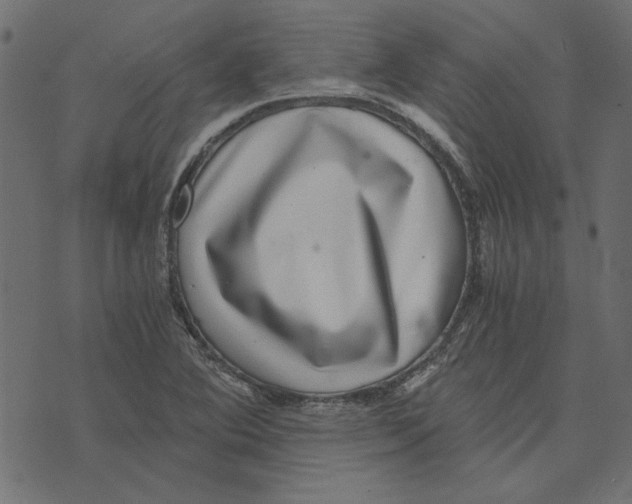 X0000072961364200608181421