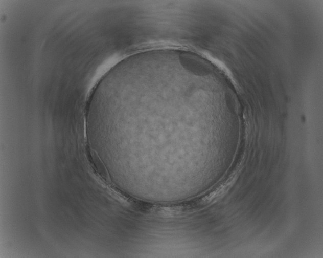 X0000072961365200608181421