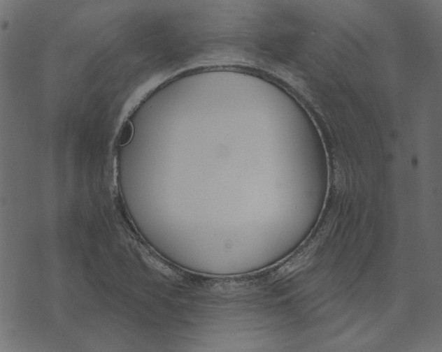 X0000072961366200608181421