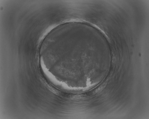 X0000072961367200608181421