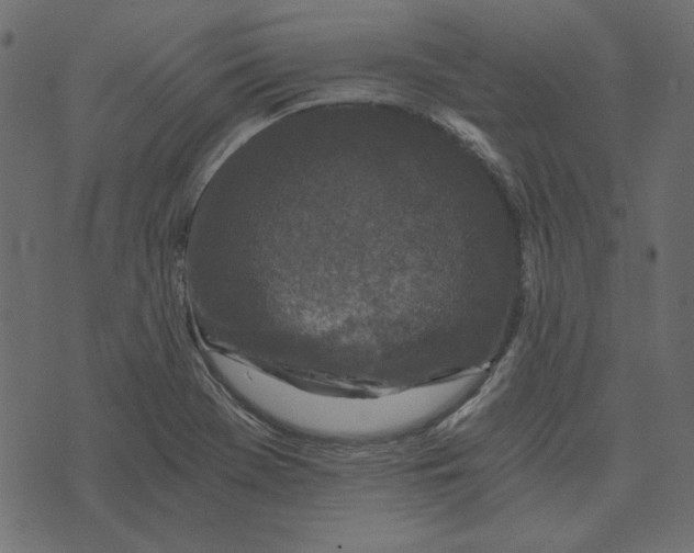 X0000072961369200608181421