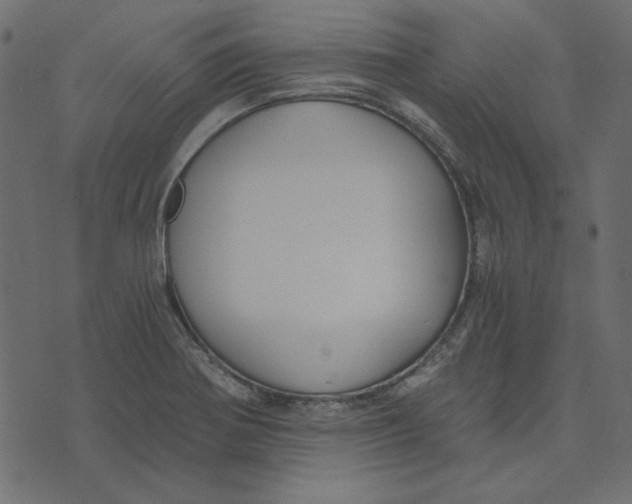 X0000072961370200608181421