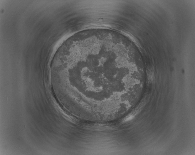 X0000072961371200608181421