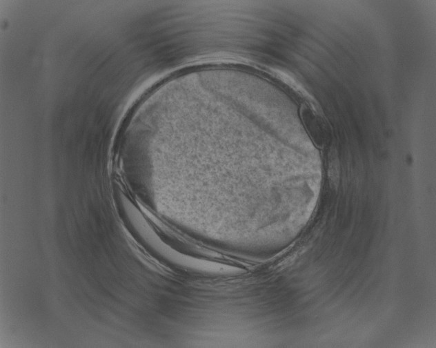 X0000072961372200608181421