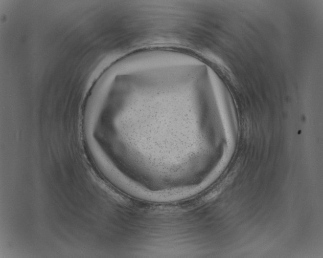 X0000072961374200608181420