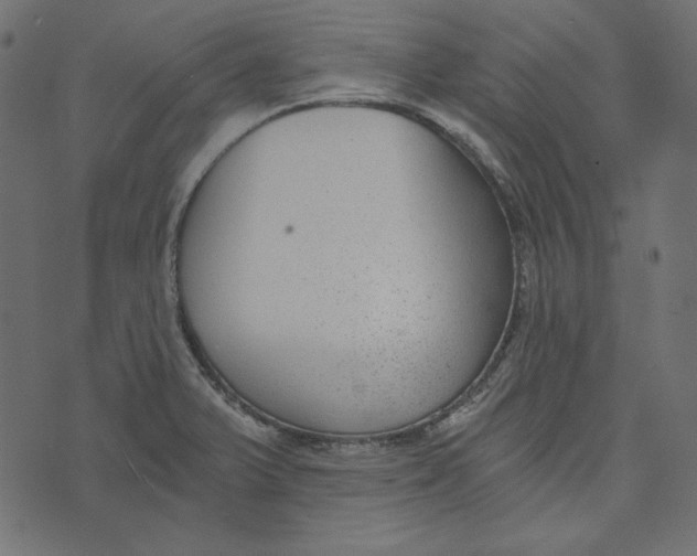 X0000072961375200608181420