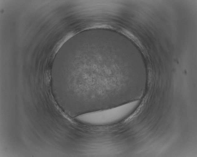 X0000072961377200608181420