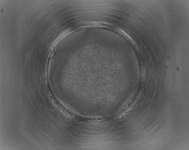 X0000072961378200608181420