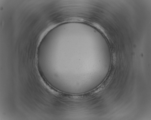 X0000072961379200608181420