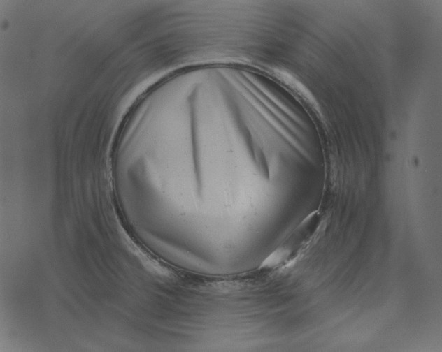 X0000072961380200608181420