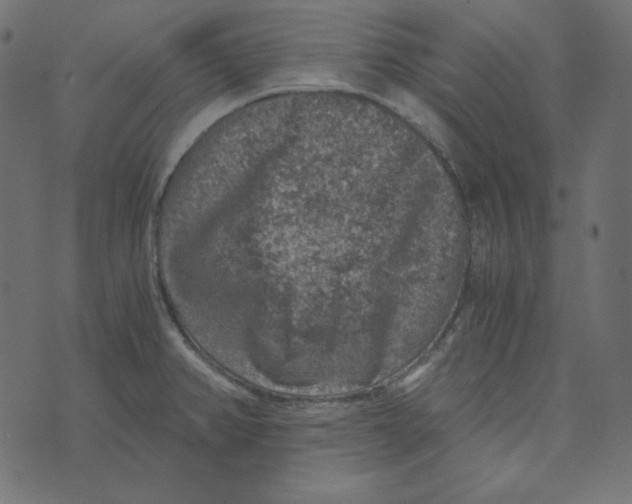 X0000072961382200608181420