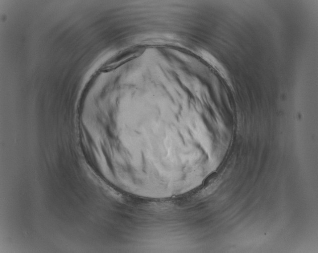 X0000072961384200608181420