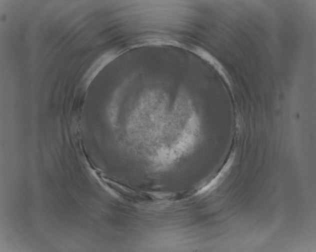 X0000072961385200608181420