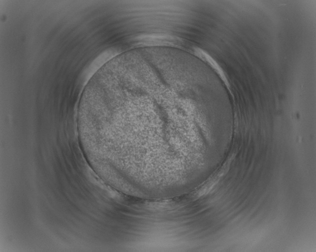 X0000072961386200608181420