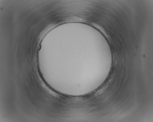 X0000072961387200608181420