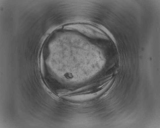 X0000072961388200608181420