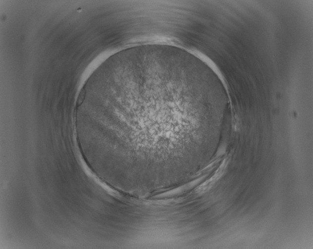 X0000072961389200608181420